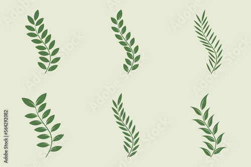 olive branch logo design with 6 options