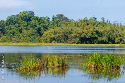 Bau Sau  Crocodile Lake   Nam Cat Tien National Park  Vietnam