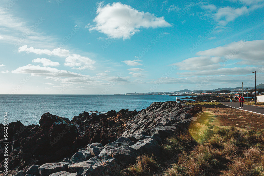 view from the viewpoint of the view from the viewpoint of the
