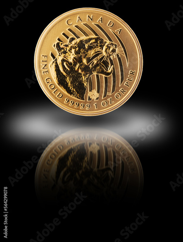 Nova Gorica, Slovenia - Januar 21, 2023, Growling Cougar Gold 2015 Canada 1 oz  .99999 reflection photo