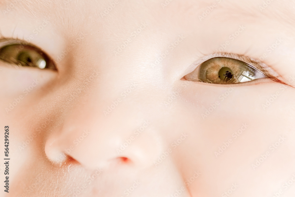 Naklejka premium Close-up portrait of a happy baby. The plump face of a newborn with a blissful smile. Sweet smile of a calm child
