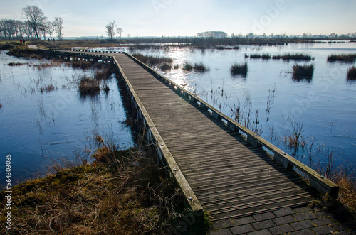 Fototapeta Naklejka Na Ścianę i Meble -  Wooden walkbridge for pedestrians across a shallow lake, partly coverd with ice near Dwingelo, The Netherlands
