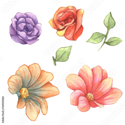 Set of watercolor flowers bouquet with individual elements. Floral illustration of soft flowers arrangement. Botanic composition design