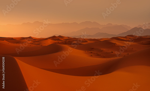Sand dunes in the Sahara Desert  Merzouga  Morocco - Orange dunes in the desert of Morocco - Sahara desert  Morocco