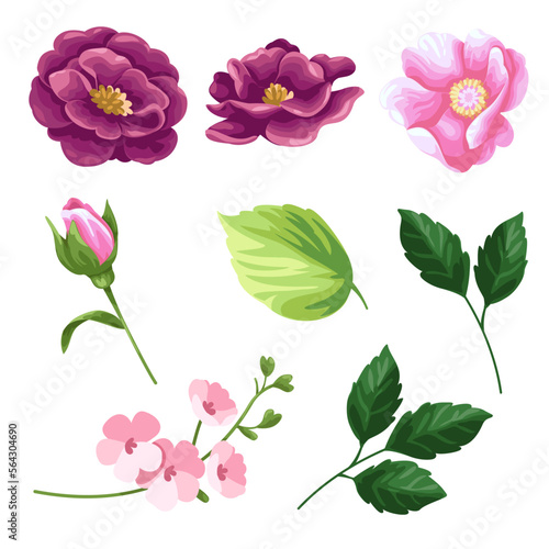 Big Set watercolor elements - rose, tulip; leaves. collection of vector elements. illustration isolated on white background. Botanic.