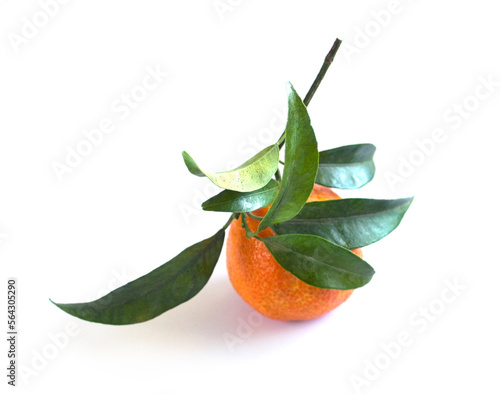 One Mandarin with leaves isolated on white