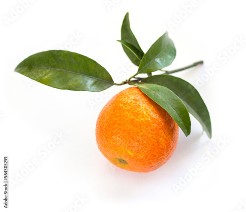One Mandarin with leaves isolated on white