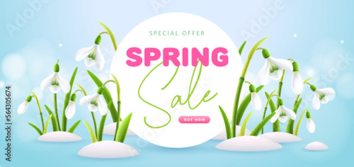 Spring big sale poster with full blossom snowdrops. Spring background. Vector illustration