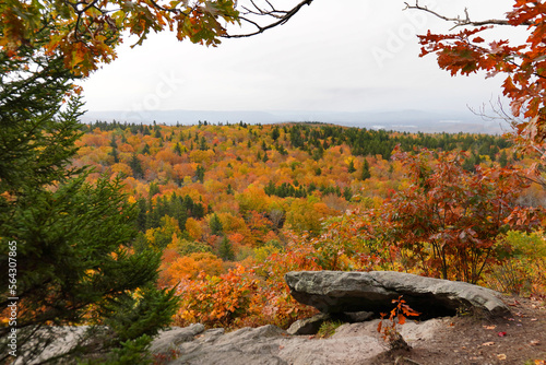 Obraz na plátně Autumn View in Mount Greylock State Reservation