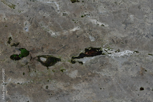 Grau weiß Hintergrund als Design, Steinplatte mit Moss  © Marlise Gaudig