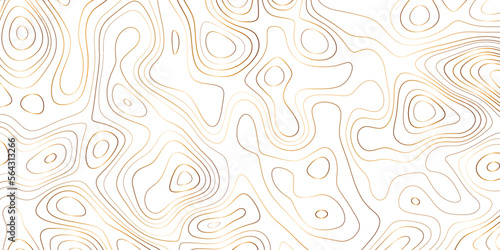 Luxury gold abstract topographic map background with golden lines texture, wallpaper design for fabric , packaging , web, geographic grid map vector illustration.