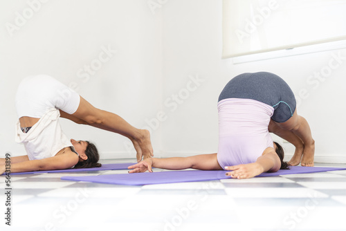 Two yogi Latin women doing Plough Pose, also known as Halasana. Wellness, Wellbeing and Healthy lifestyle concept