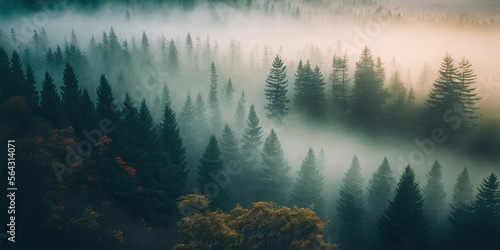 landscape with fir trees in the fog. banner. drone shot. Generative AI
