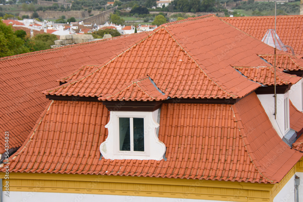 View of the pretty city of Evora, in Portugal from the roof of the cathedral