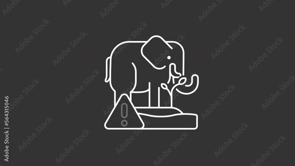 Animated extinction white line icon. Wildlife issue. Biotic crisis. Ecosystem problem. Seamless loop HD video with alpha channel on transparent background. Motion graphic design for night mode Animated extinction white line icon. Wildlife issue. Biotic crisis. Ecosystem problem. Seamless loop HD video with alpha channel on transparent background. Motion graphic design for night mode