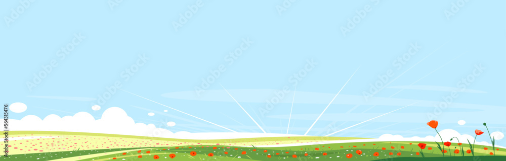 Big panorama of meadows with red poppy flowers, summer countryside with green hills, summer sunrise glades with field grasses and blue sky, beautiful tourist place