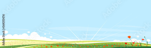 Big panorama of meadows with red poppy flowers, summer countryside with green hills, summer sunrise glades with field grasses and blue sky, beautiful tourist place