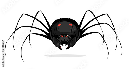 One big black cartoon scary spider with red evil eyes, spider in front view with red spots on abdomen and big cheliceraes isolated illustration