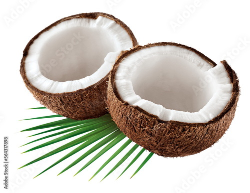 coco cortado com meio com folhas - coco com folhagem embaixo  photo