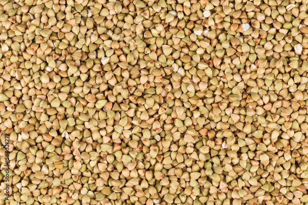 organic bio buckwheat organic bio buckwheat