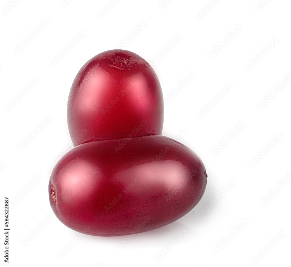 Dogwood fruits isolated on a white background, macro Dogwood fruits isolated on a white background, macro