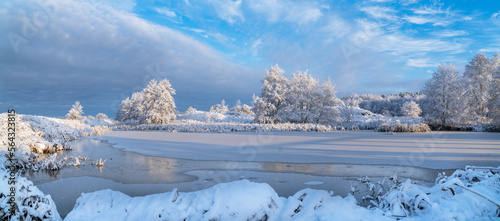 zimowy krajobraz © Marek