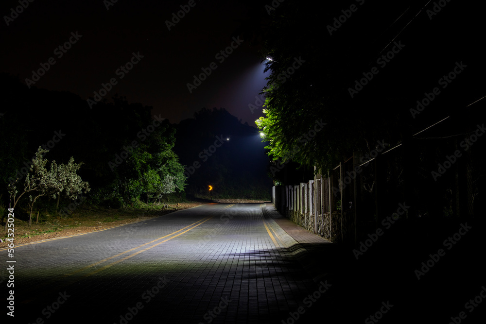  night street with lanterns and empty brick road