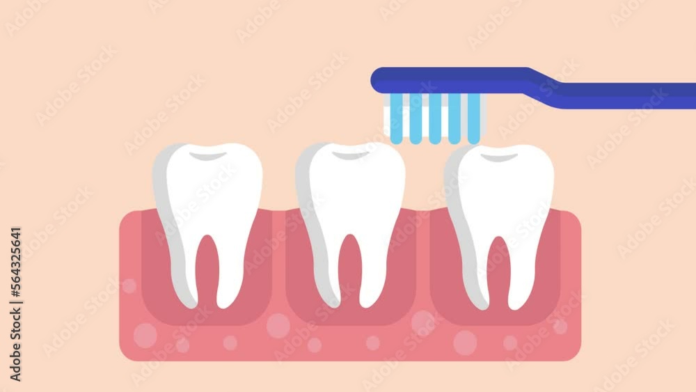 brush your teeth oral dental health care animation brush your teeth oral dental health care animation