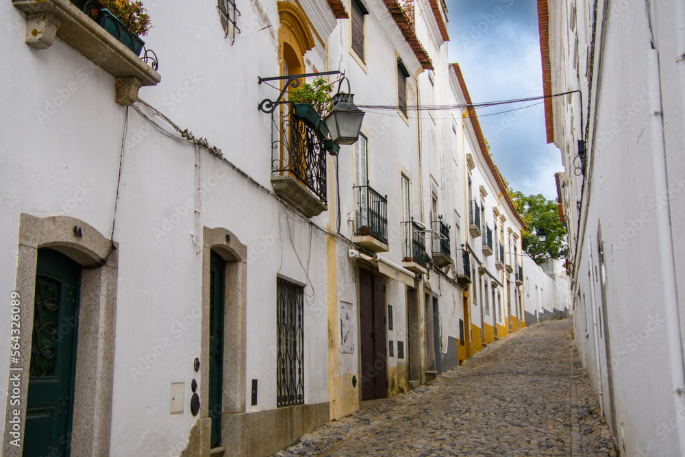 Fototapeta premium View and architecture of the beautiful town of Evora in Portugal