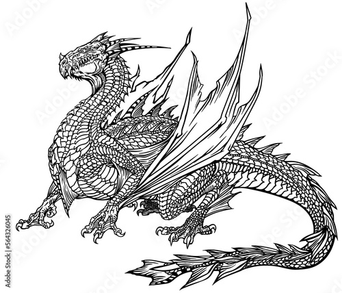 Majestic sea or water dragon. A mythological creature with bat-like wings and a fishtail. Side view. Black and white graphic style isolated vector illustration