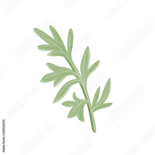 Branch of wormwood isolated on a white background. Vector cartoon illustration of medical grass. Sagebrush icon. photo