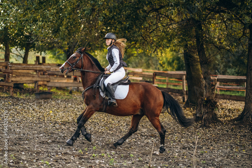 A young beautiful woman jockey is preparing for a show jumping competition. A woman rider rides a brown racehorse.