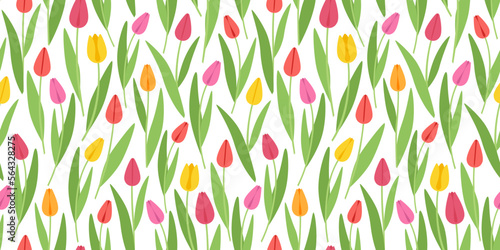 Seamless pattern with colorful tulips on white background. Vector illustration.