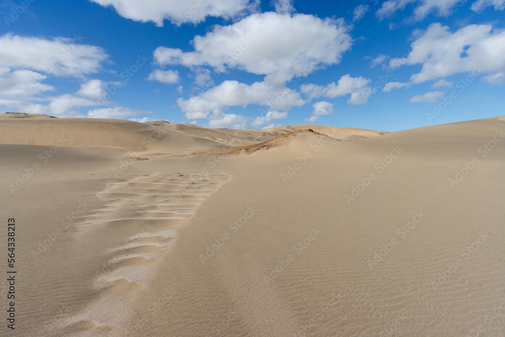 stunning dunes in the restricted area of southern Namibia