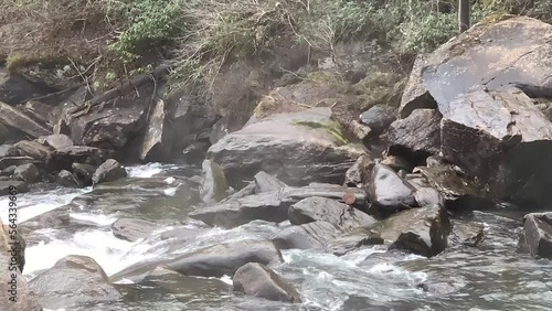 Misty mountain river flowing through a forest