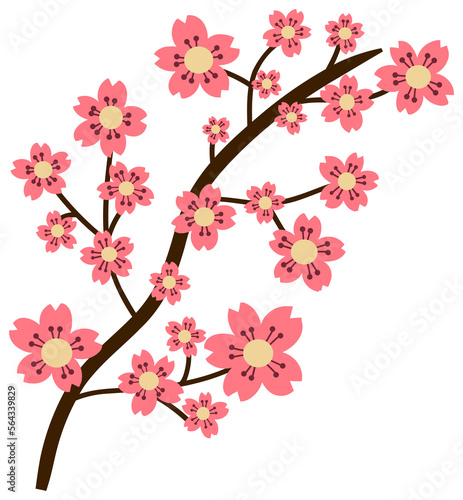 Cherry Blossoms Left Corner Border