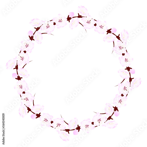 Cherry blossom wreath. White pink cute sakura flowers. Round frame of cherry blossoms. Spring pink blooming composition with buds. Festive decorations for wedding, holiday, postcard, poster and design