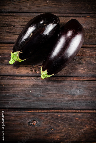 Fresh homemade eggplant on the table. 