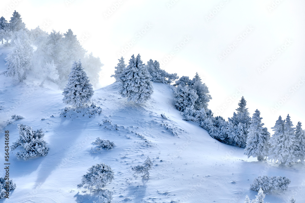 Hochalpine Schneelandschaft im Winter