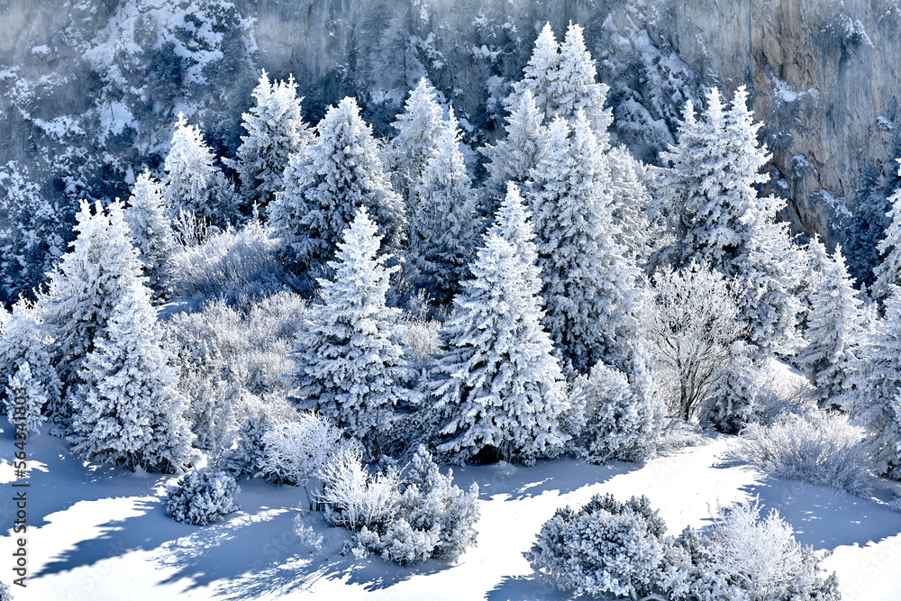 Schöne Landschaft im Winter. Verschneiter Wald Schöne Landschaft im Winter. Verschneiter Wald