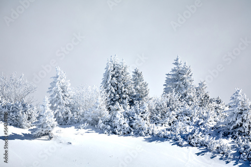 Romantische Winterlandschaft in den Alpen © Olgierd Kajak