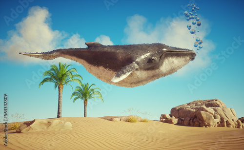 Whale floating in the desert. Global warming and resilience concept. photo