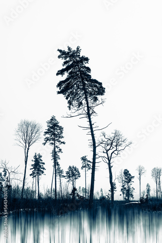 Silhouettes of a dark gloomy forest with textured trees on a white background with turquose ink effect and motion blur. The concept of dissolving dark-evil into white-good.