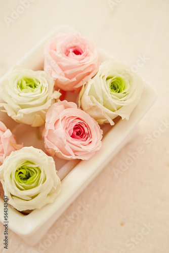 Preserved flower,dried rose background