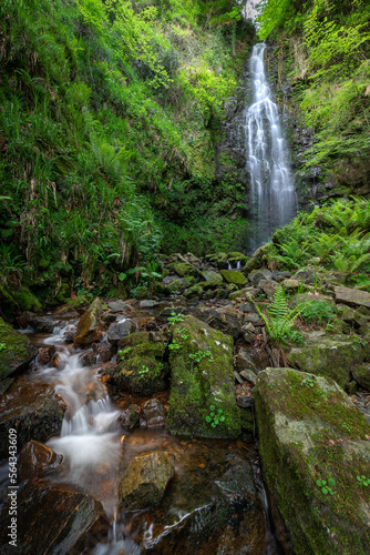 Waterfall of Belaustegi beech forest, Gorbea Natural Park, Vizcaya, Spain photo