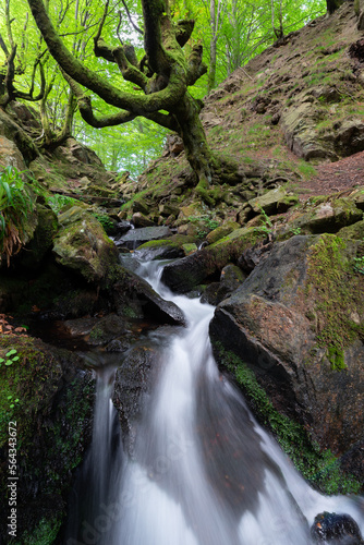 Waterfall at Belaustegi beech forest, Gorbea Natural Park, Vizcaya, Spain	 photo