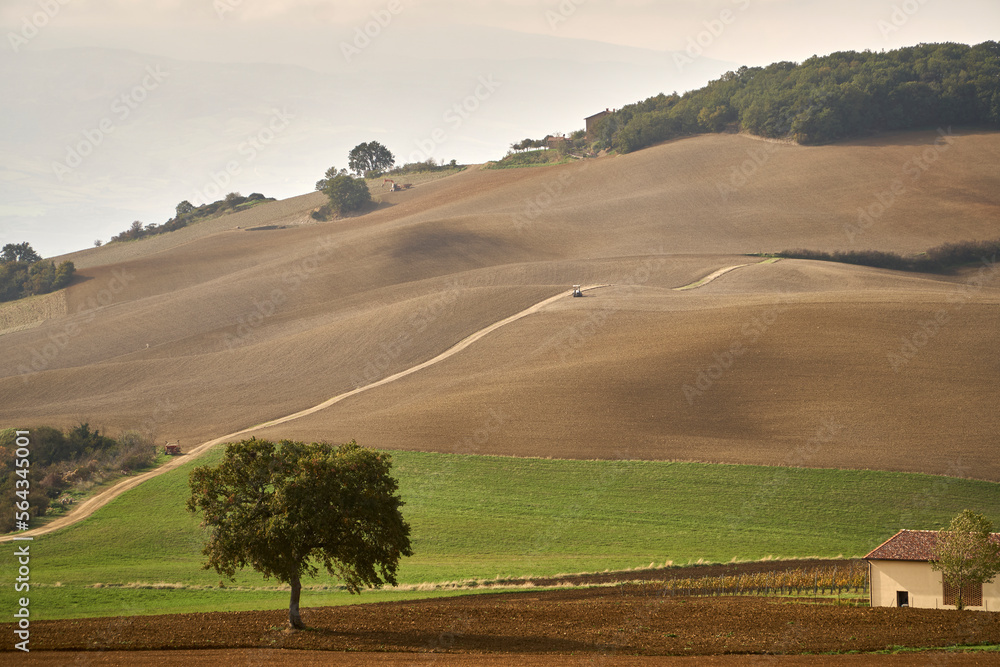 Obraz premium Plowed fields in Tuscany, Italy. Autumn in October. 