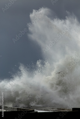 Stormy big wave splash