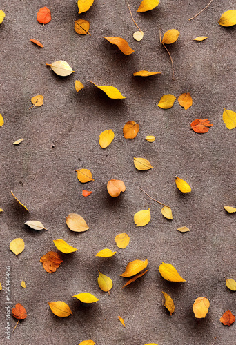 Seamless Dry Leaves on Ground Pattern