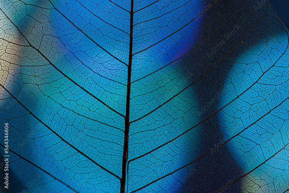 leaf texture, leaf background with veins and cells - obrazy, fototapety, plakaty 